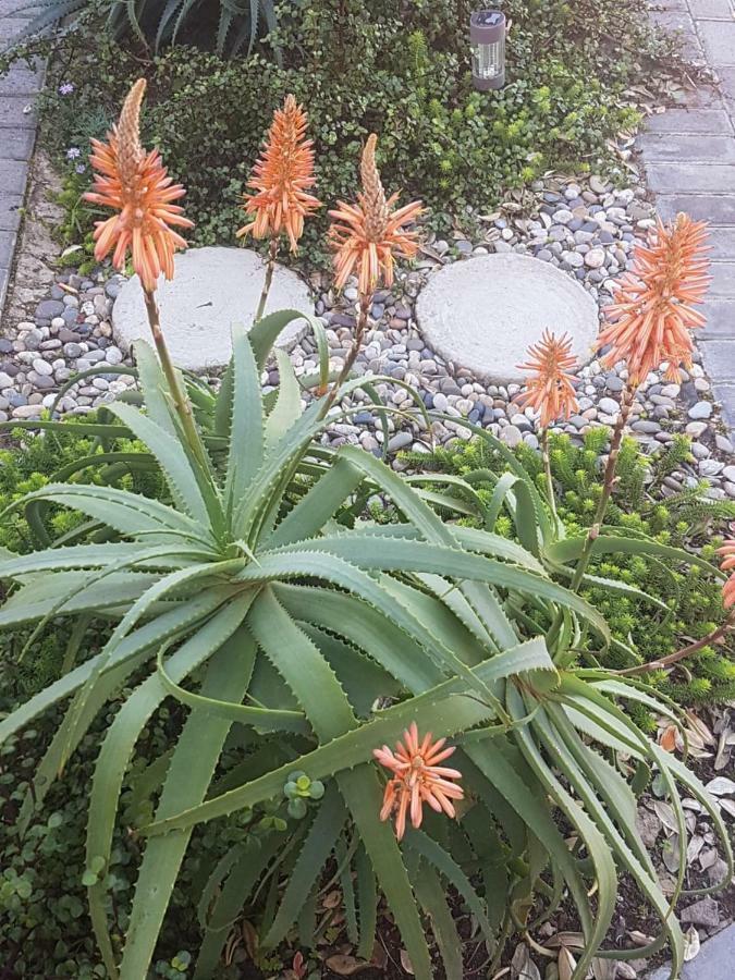 Aloe @ The Sea Apartment Mossel Bay Exterior photo
